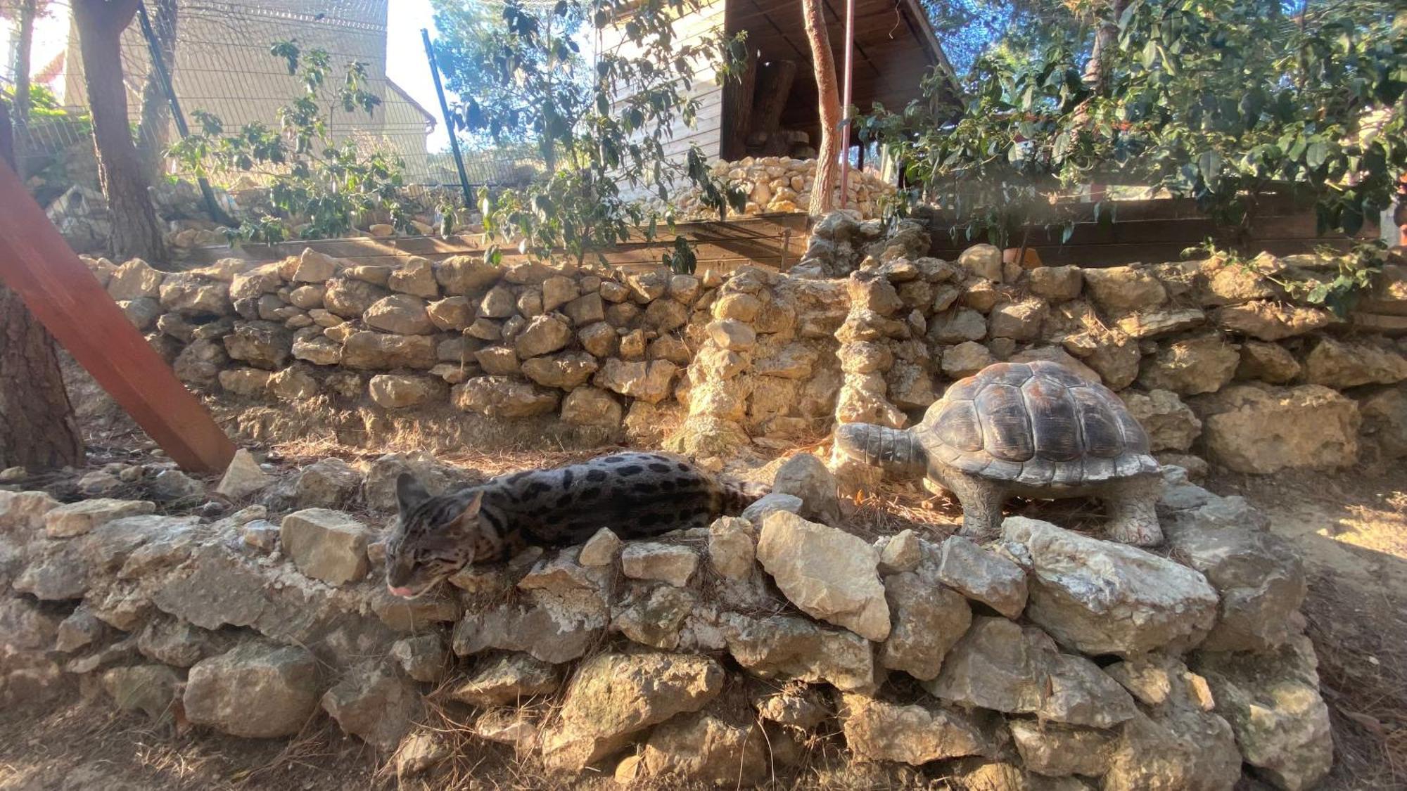 Les Jardins De L'Oustal Villa Narbonne Buitenkant foto